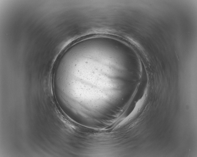 X0000061121272200512022142