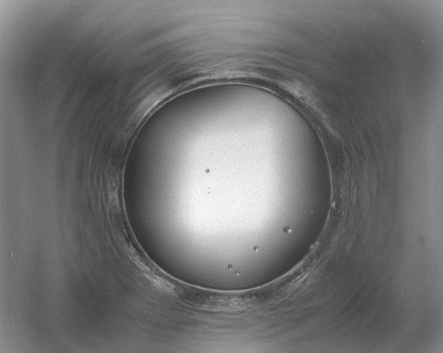 X0000061121273200512022142