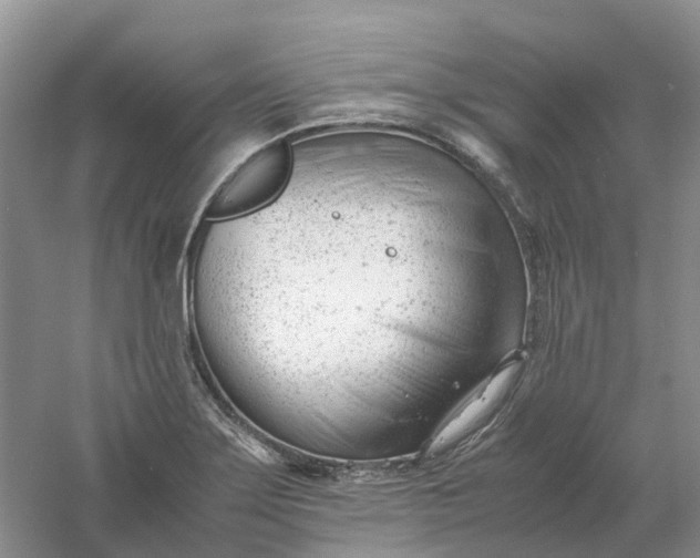 X0000061121275200512022142