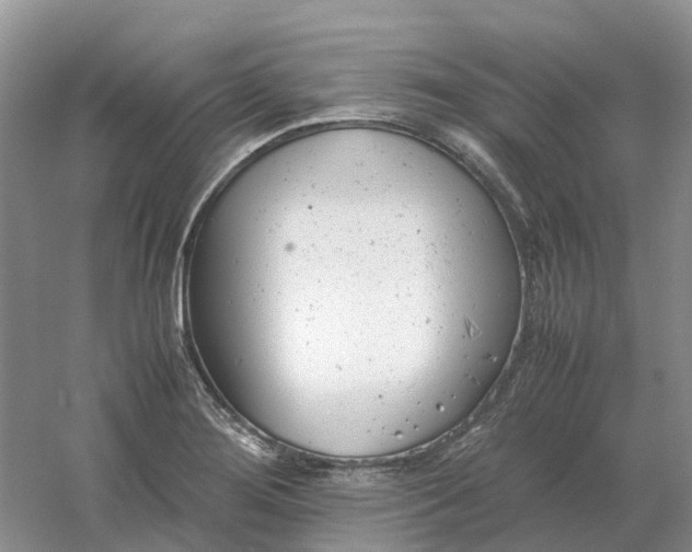 X0000061121276200512022142