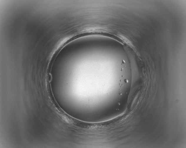 X0000061121277200512022142