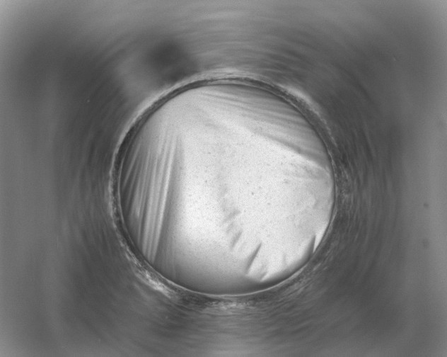 X0000061121278200512022142