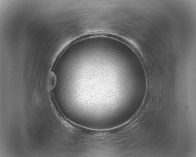 X0000061121279200512022142