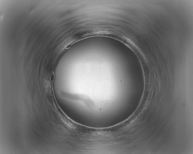 X0000061121281200512022142