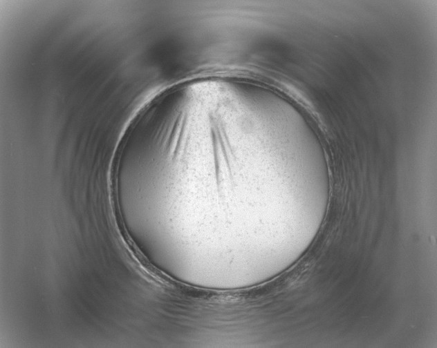 X0000061121283200512022142