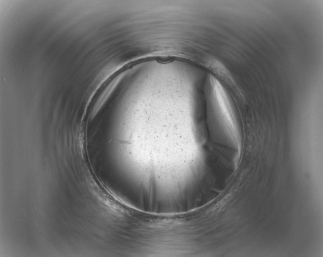 X0000061121284200512022142