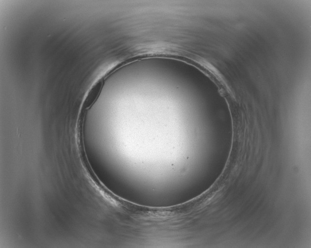 X0000061121285200512022142