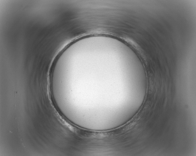 X0000061121286200512022142