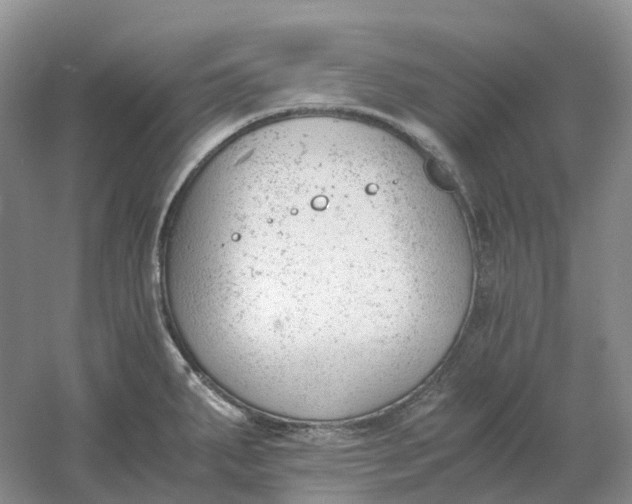 X0000061121287200512022142