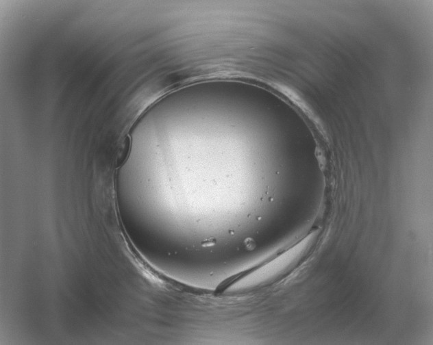 X0000061121289200512022142