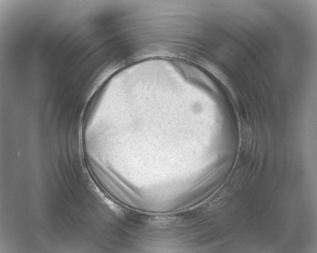 X0000061121290200512022142