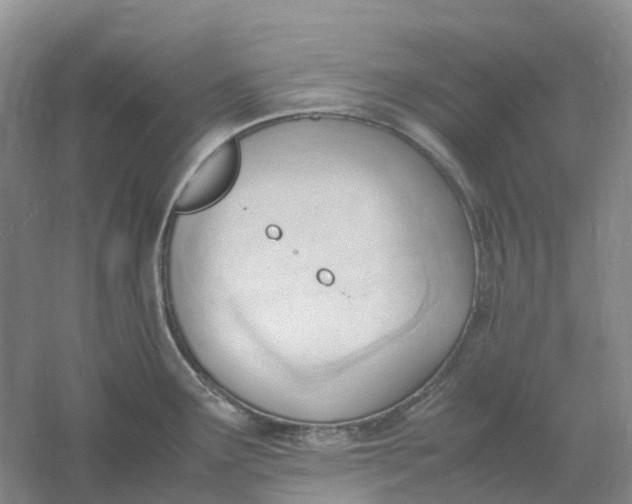 X0000061121291200512022142