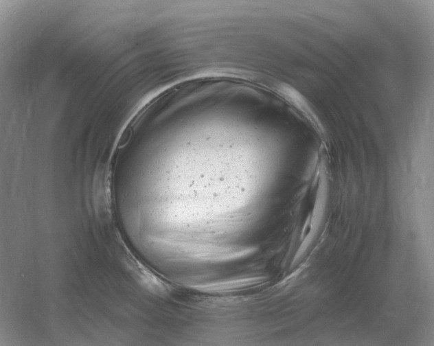 X0000061121292200512022142