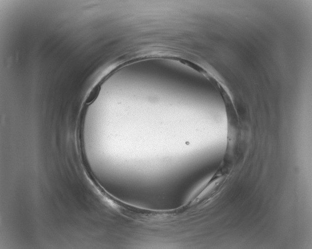 X0000061121293200512022142