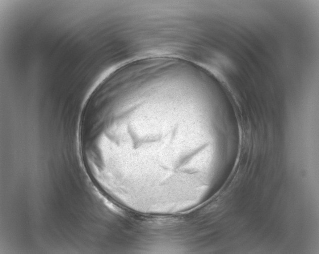 X0000061121294200512022142