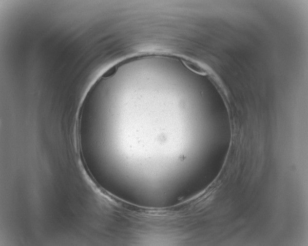 X0000061121295200512022142