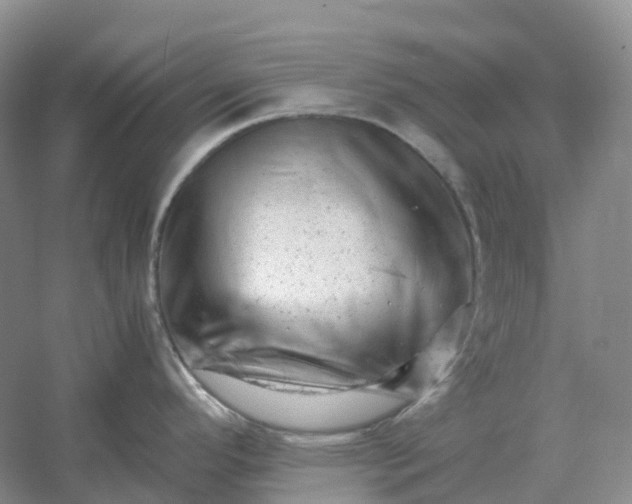 X0000061121296200512022142