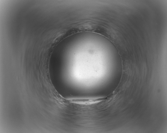 X0000061121297200512022141