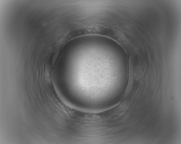 X0000061121298200512022141