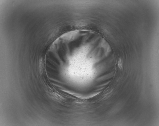 X0000061121299200512022141