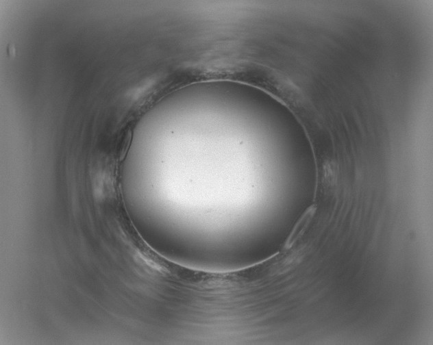 X0000061121300200512022141