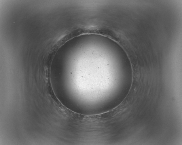 X0000061121301200512022141