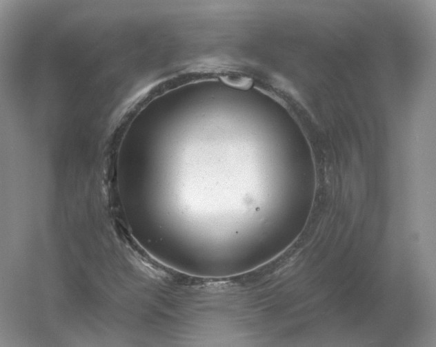 X0000061121304200512022141