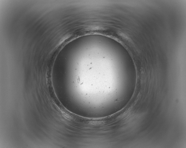 X0000061121305200512022141