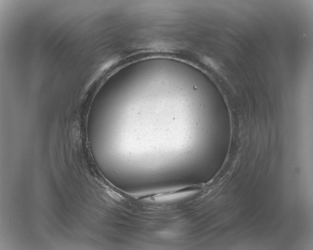 X0000061121307200512022141