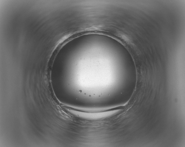 X0000061121308200512022141