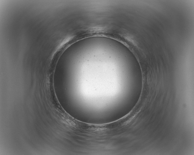 X0000061121309200512022141