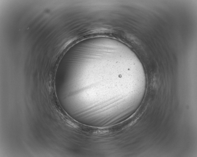 X0000061121313200512022142