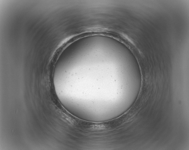 X0000061121315200512022142