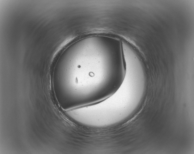 X0000061121317200512022142