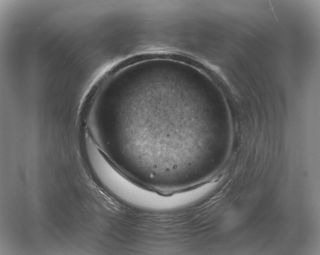 X0000061121319200512022142