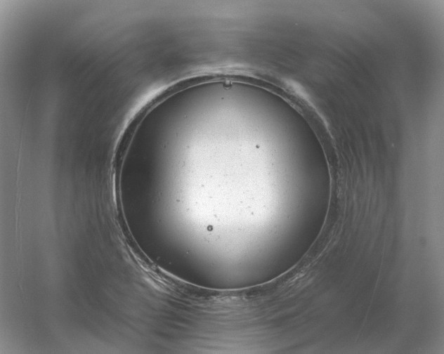 X0000061121320200512022142