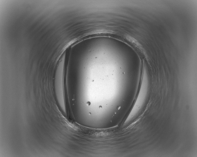 X0000061121321200512022142