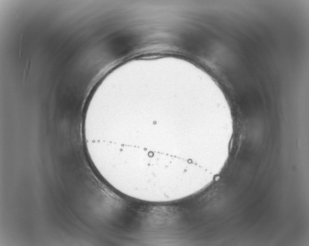 X0000061121322200512022142