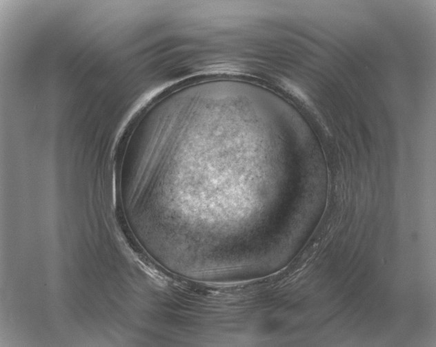 X0000061121323200512022142