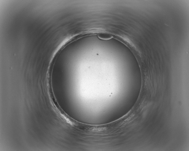 X0000061121325200512022142