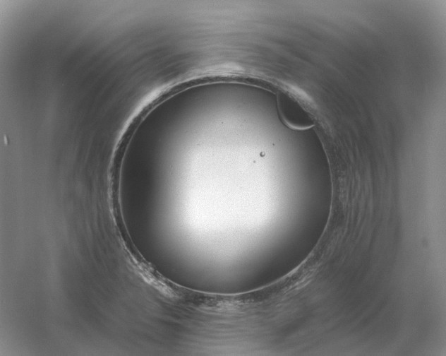 X0000061121326200512022142