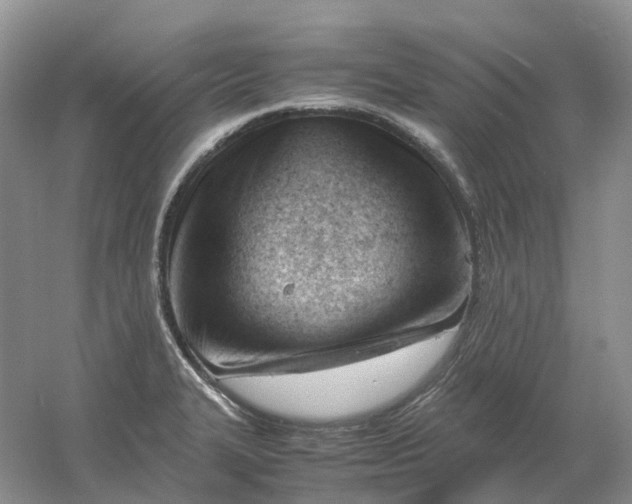 X0000061121327200512022142