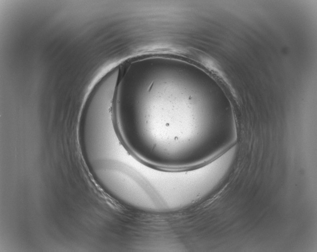 X0000061121328200512022142