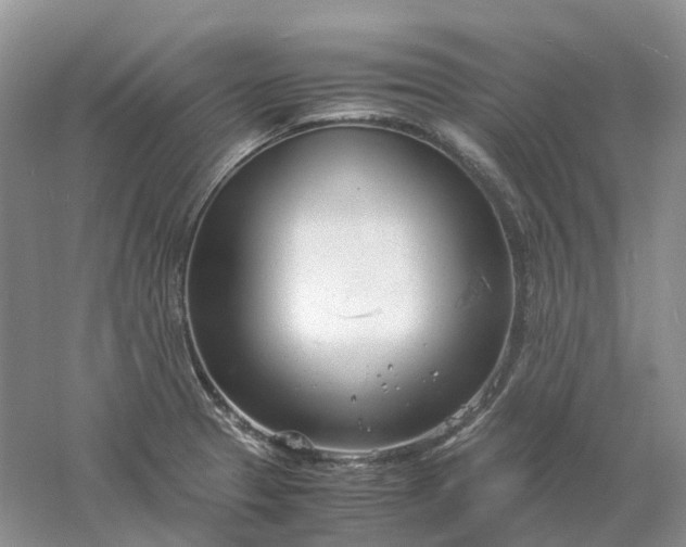 X0000061121329200512022142