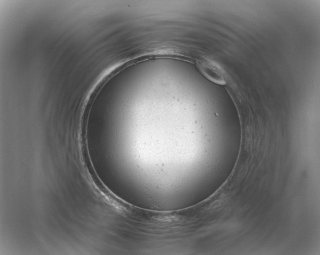 X0000061121331200512022142