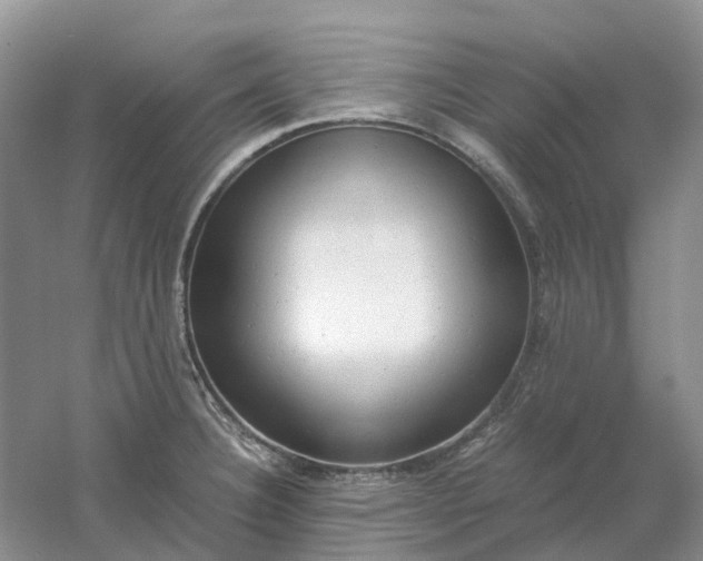 X0000061121332200512022142