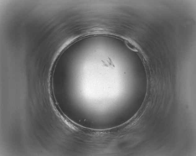 X0000061121333200512022142