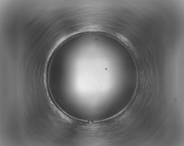 X0000061121334200512022142