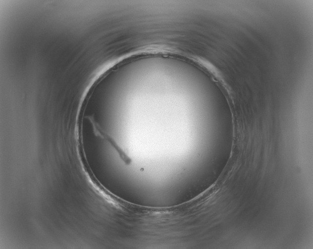 X0000061121335200512022142