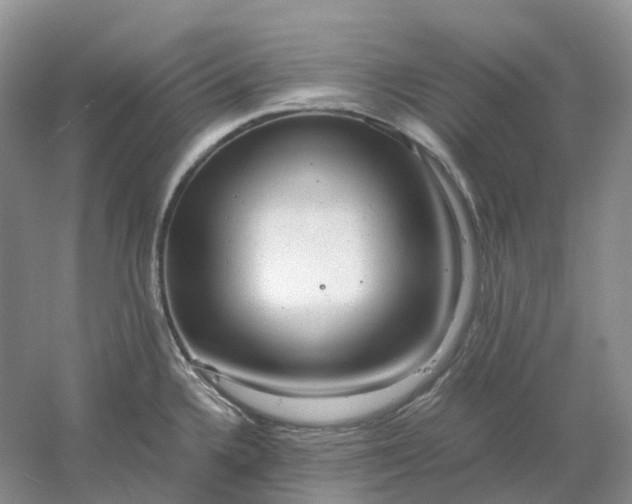 X0000061121336200512022142